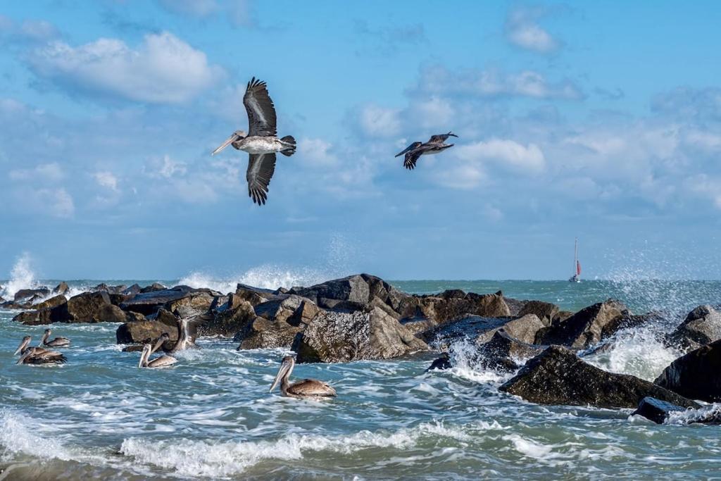 Island-Life! A Διαμέρισμα Fort Pierce Εξωτερικό φωτογραφία